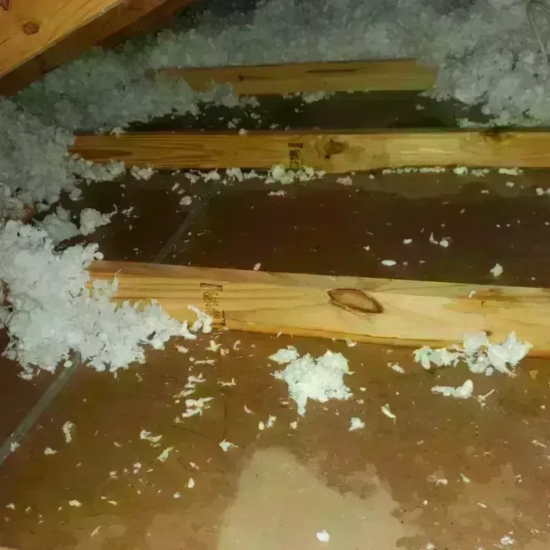 Attic Water Damage in Half Moon Bay, CA